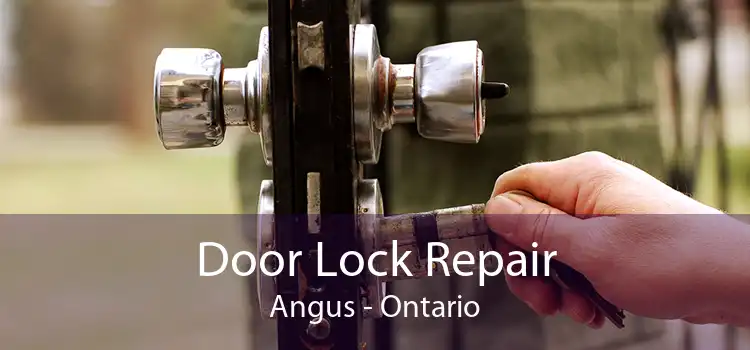 Door Lock Repair Angus - Ontario