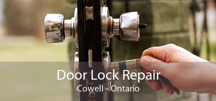 Door Lock Repair Cowell - Ontario