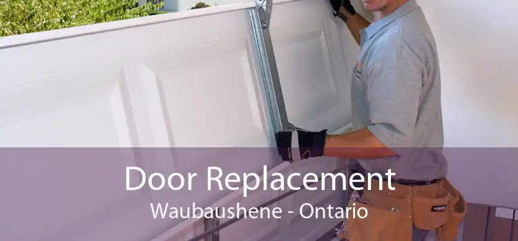 Door Replacement Waubaushene - Ontario