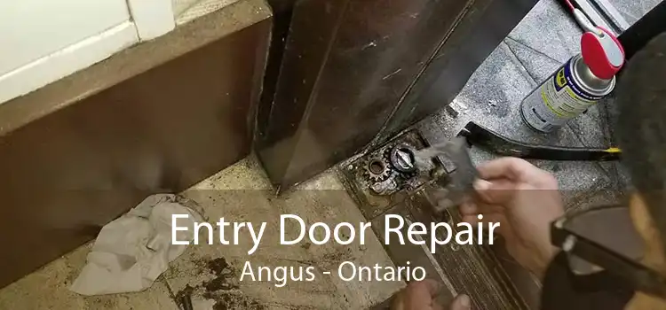 Entry Door Repair Angus - Ontario