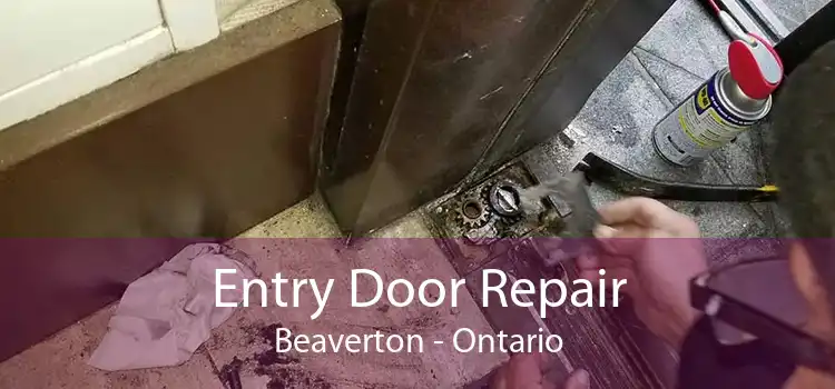 Entry Door Repair Beaverton - Ontario