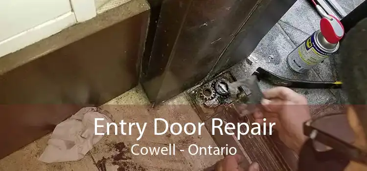 Entry Door Repair Cowell - Ontario