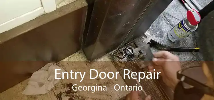 Entry Door Repair Georgina - Ontario