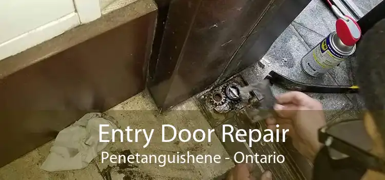 Entry Door Repair Penetanguishene - Ontario