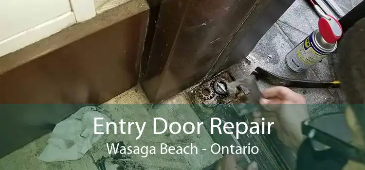 Entry Door Repair Wasaga Beach - Ontario