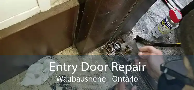 Entry Door Repair Waubaushene - Ontario