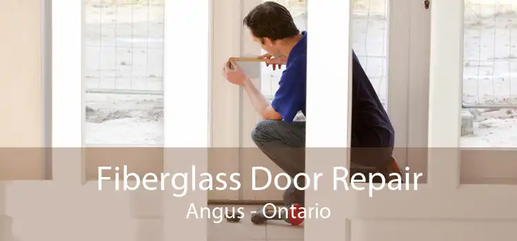 Fiberglass Door Repair Angus - Ontario