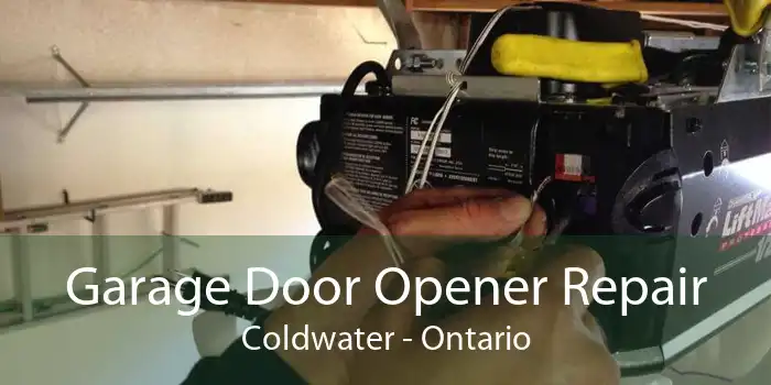 Garage Door Opener Repair Coldwater - Ontario