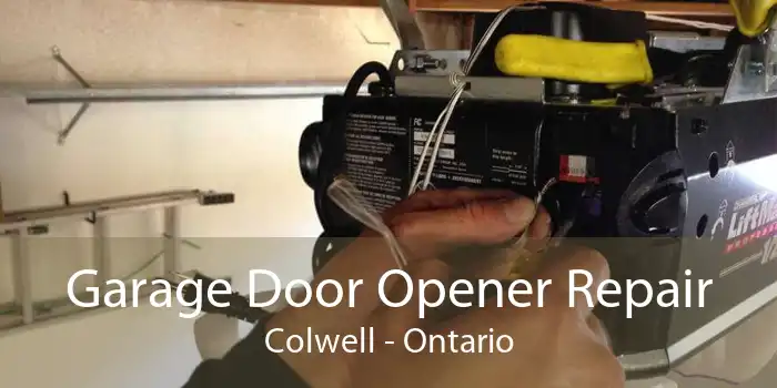 Garage Door Opener Repair Colwell - Ontario