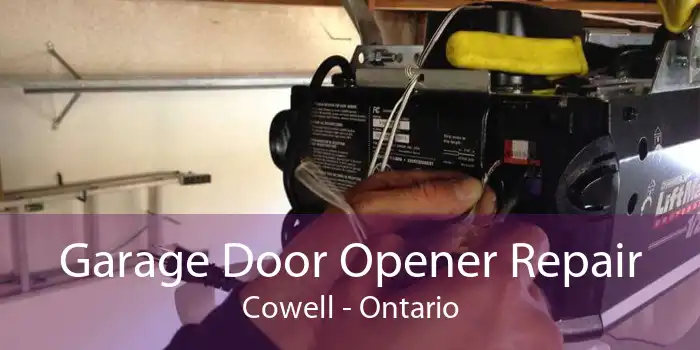 Garage Door Opener Repair Cowell - Ontario