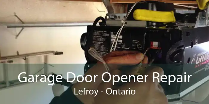 Garage Door Opener Repair Lefroy - Ontario
