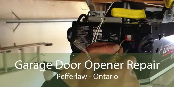 Garage Door Opener Repair Pefferlaw - Ontario
