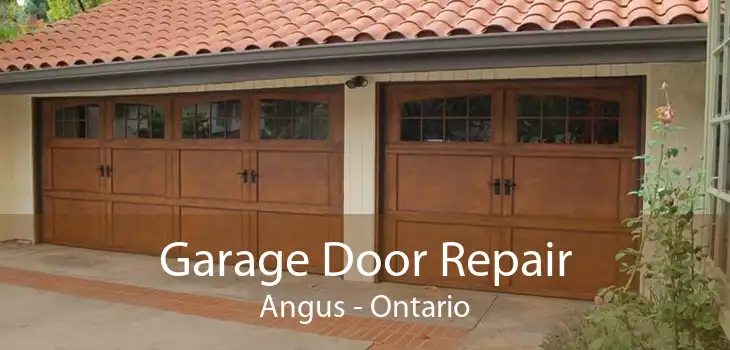 Garage Door Repair Angus - Ontario