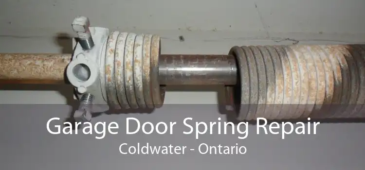 Garage Door Spring Repair Coldwater - Ontario