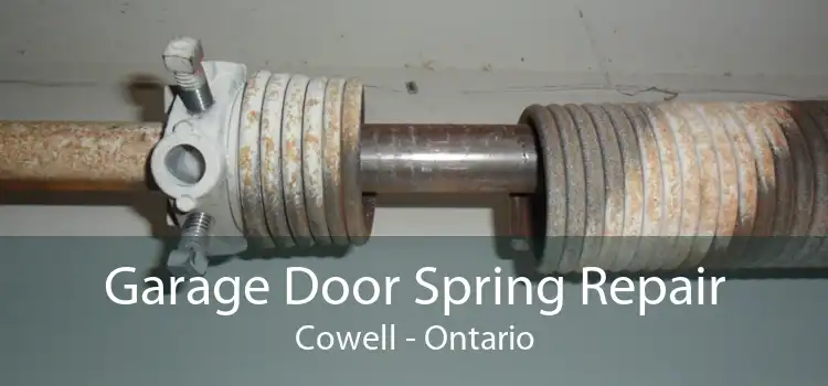 Garage Door Spring Repair Cowell - Ontario