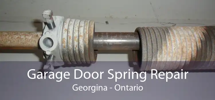 Garage Door Spring Repair Georgina - Ontario