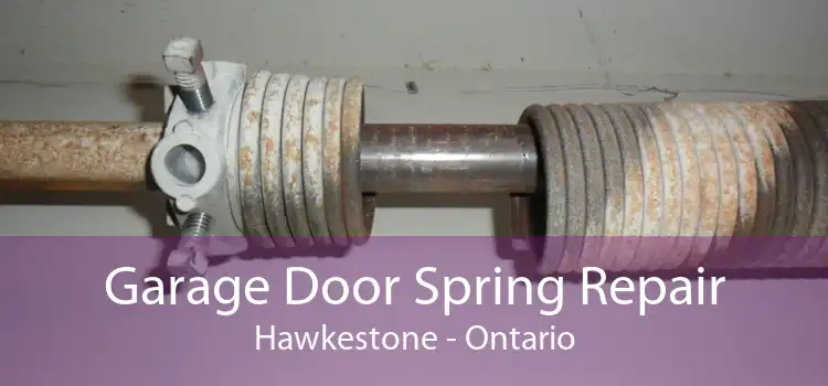 Garage Door Spring Repair Hawkestone - Ontario