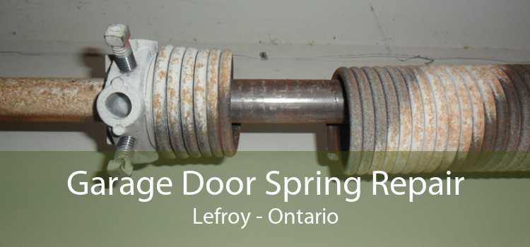 Garage Door Spring Repair Lefroy - Ontario