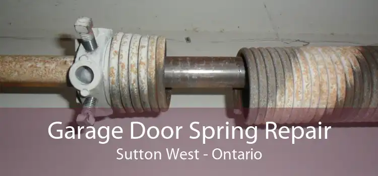Garage Door Spring Repair Sutton West - Ontario