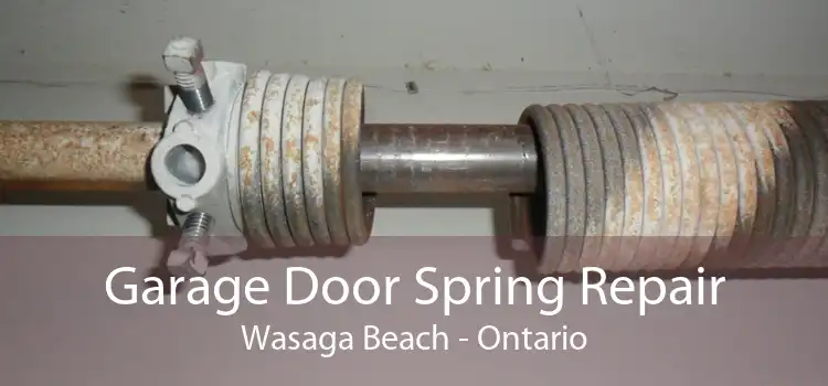 Garage Door Spring Repair Wasaga Beach - Ontario