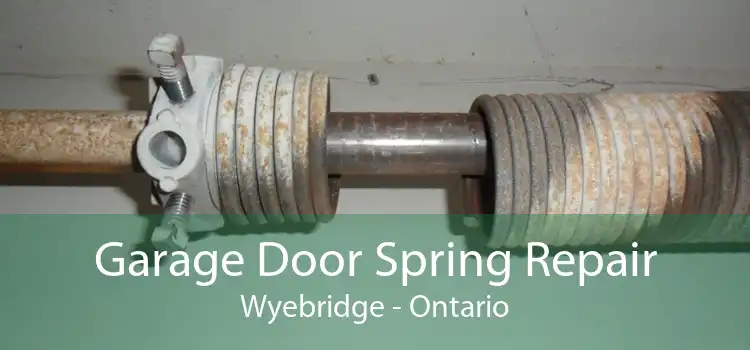Garage Door Spring Repair Wyebridge - Ontario