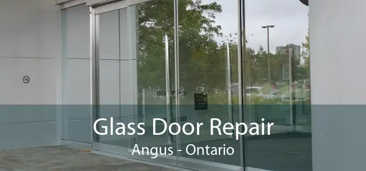 Glass Door Repair Angus - Ontario