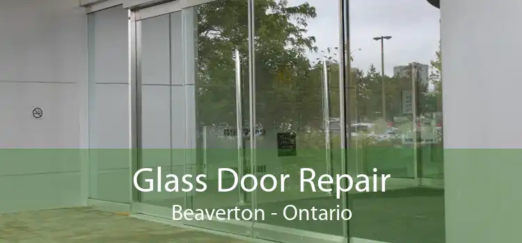 Glass Door Repair Beaverton - Ontario