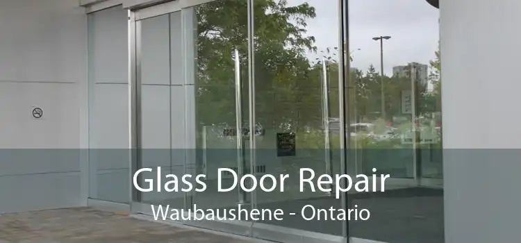 Glass Door Repair Waubaushene - Ontario