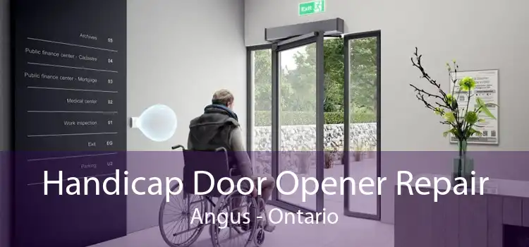 Handicap Door Opener Repair Angus - Ontario