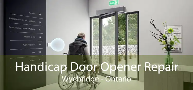 Handicap Door Opener Repair Wyebridge - Ontario