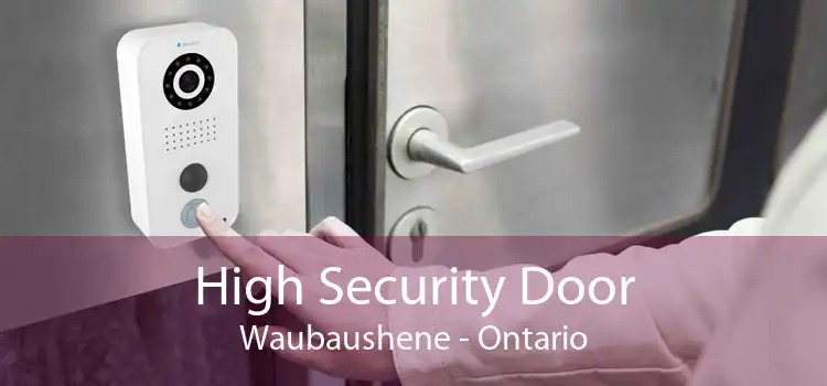 High Security Door Waubaushene - Ontario