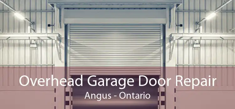 Overhead Garage Door Repair Angus - Ontario