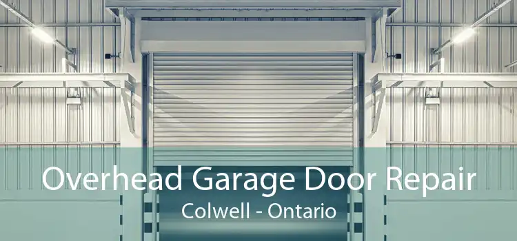 Overhead Garage Door Repair Colwell - Ontario
