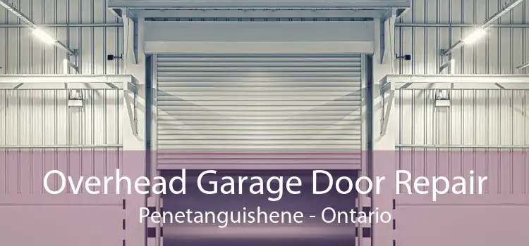 Overhead Garage Door Repair Penetanguishene - Ontario
