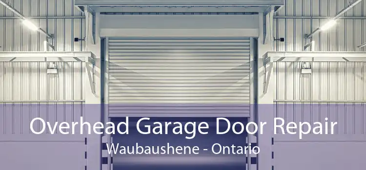 Overhead Garage Door Repair Waubaushene - Ontario