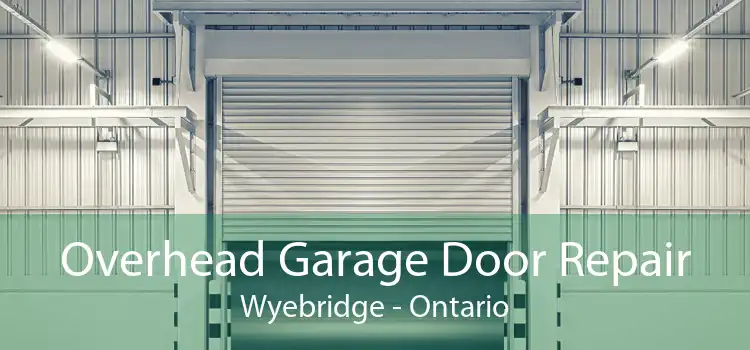 Overhead Garage Door Repair Wyebridge - Ontario