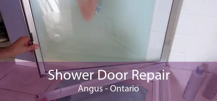 Shower Door Repair Angus - Ontario