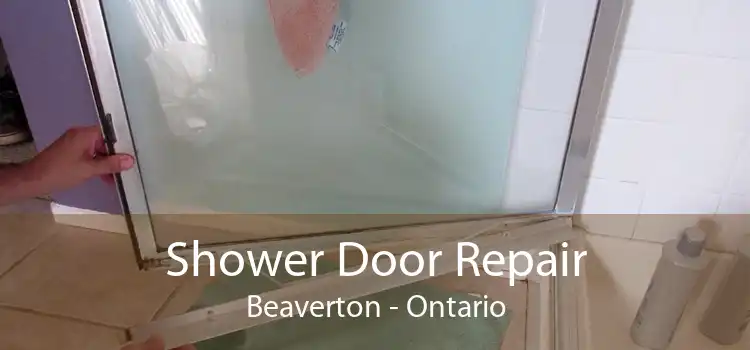 Shower Door Repair Beaverton - Ontario