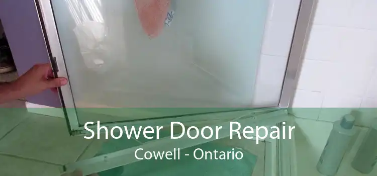 Shower Door Repair Cowell - Ontario
