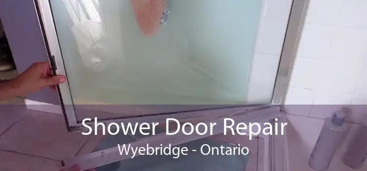 Shower Door Repair Wyebridge - Ontario