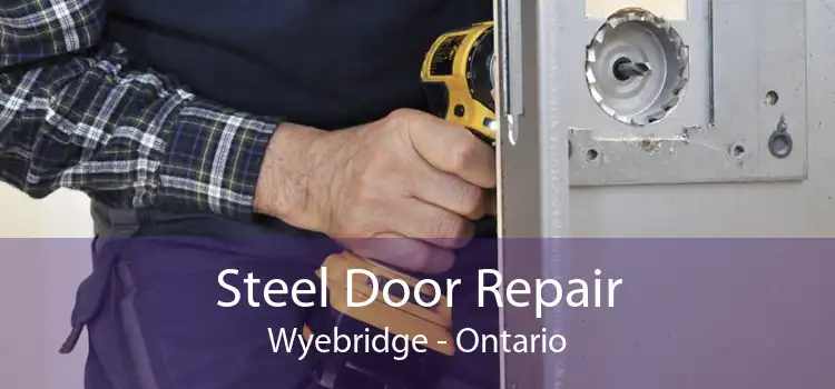 Steel Door Repair Wyebridge - Ontario