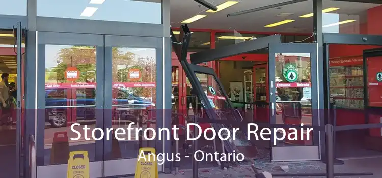 Storefront Door Repair Angus - Ontario