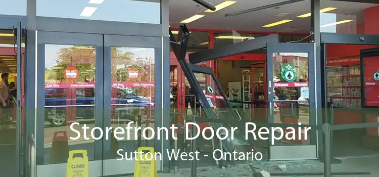 Storefront Door Repair Sutton West - Ontario