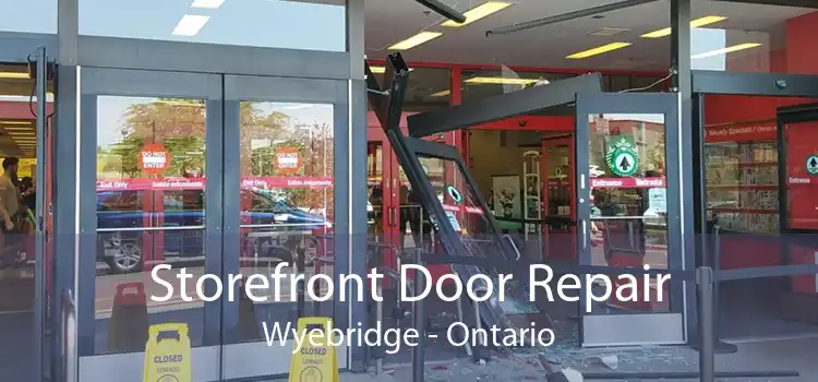 Storefront Door Repair Wyebridge - Ontario
